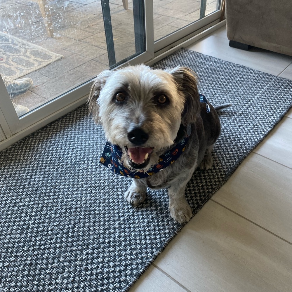 Meet your Posher, Vivek